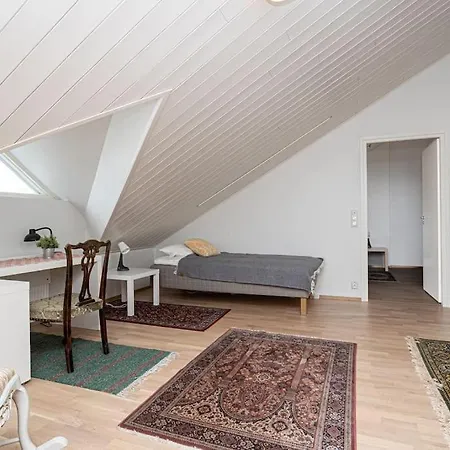 Uniikki Kattohuoneisto Ydinkeskustassa, Laemmin Pysaekoeinti, Max 6 Hloeae Apartment *