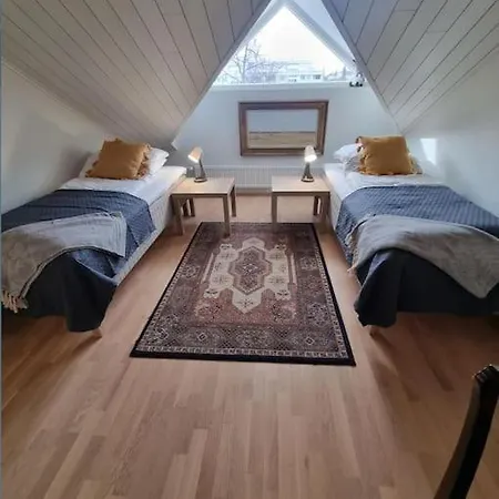 Uniikki Kattohuoneisto Ydinkeskustassa, Laemmin Pysaekoeinti, Max 6 Hloeae Apartment Kuopio