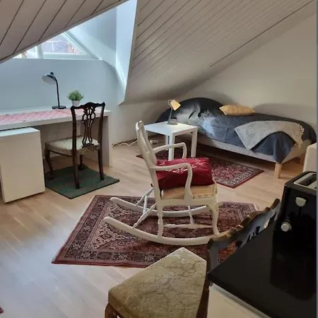 Apartament Uniikki Kattohuoneisto Ydinkeskustassa, Laemmin Pysaekoeinti, Max 6 Hloeae *