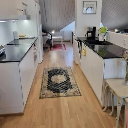 Apartment Uniikki Kattohuoneisto Ydinkeskustassa, Laemmin Pysaekoeinti, Max 6 Hloeae Kuopio