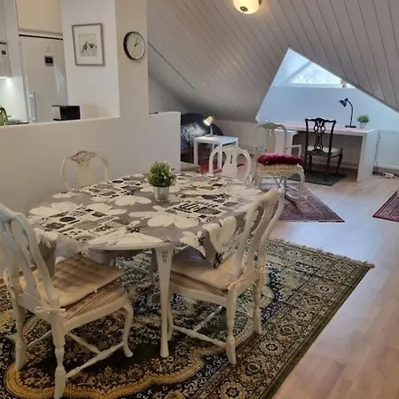 Uniikki Kattohuoneisto Ydinkeskustassa, Laemmin Pysaekoeinti, Max 6 Hloeae Apartament *